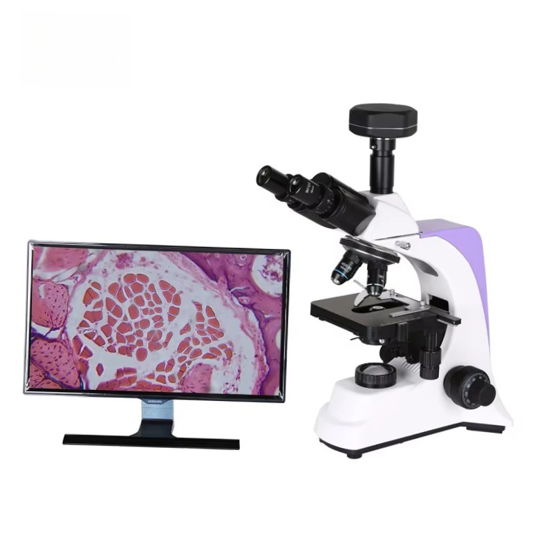 Medical Lab Scientist - Microscope biologique numérique de laboratoire médical