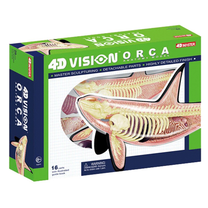 Medical Lab Scientist - 4D Vision Orca baleine squelette anatomie
